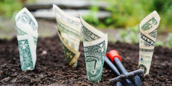 Velan hyödyntäminen omalle yrityksellesi 